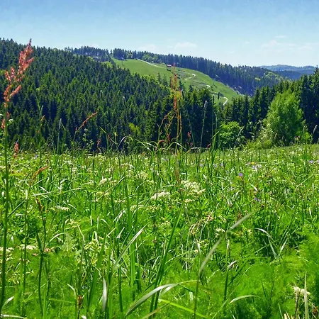 펜션 Ferienhauspark 하셀펠데