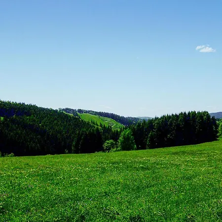 Holiday home Ferienhauspark Hasselfelde