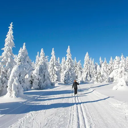 Ferienhauspark Hasselfelde