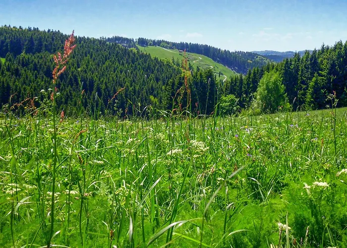 Tatil Evi Ferienhauspark Hasselfelde