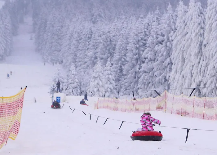 Ferienhauspark Hasselfelde